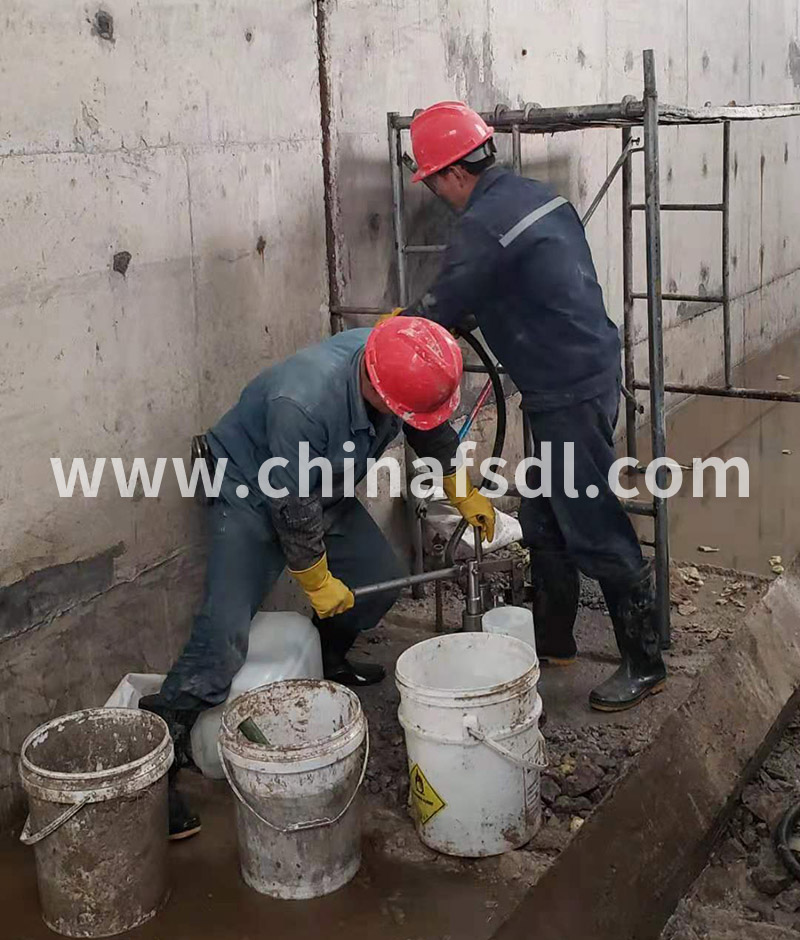 猫咪免费人成网站在线观看